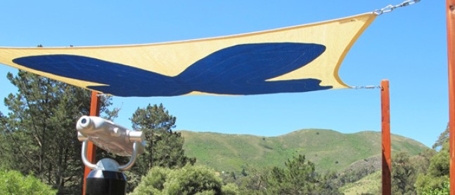 The Discovery of the Mission Blue