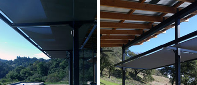 ‘Fairweather’ Friends