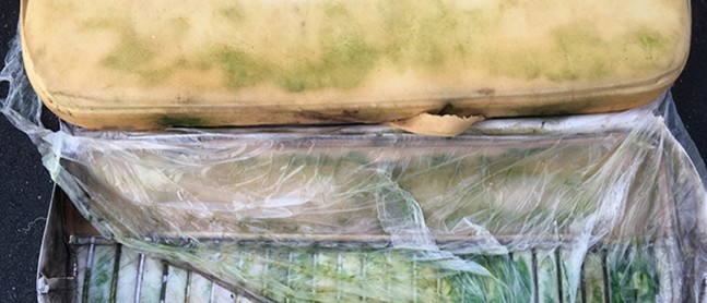 Spring Cleaning Top 10